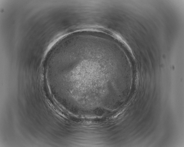 X0000085261360200703231704