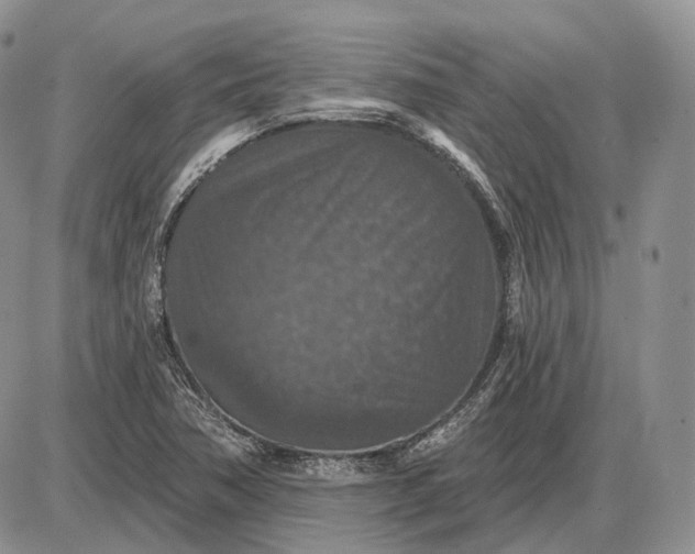 X0000085261362200703231704