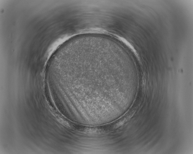 X0000085261364200703231704