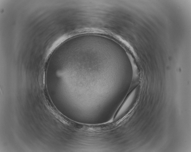 X0000085261365200703231704