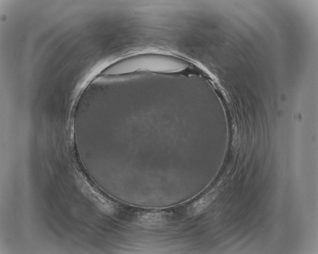 X0000085261367200703231704