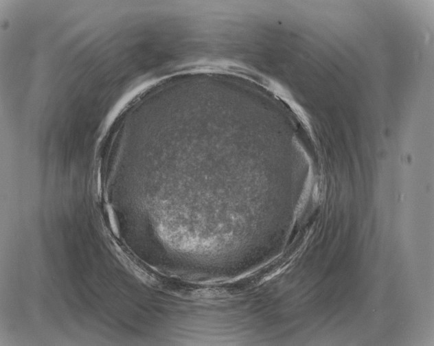 X0000085261368200703231704