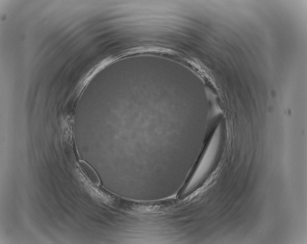 X0000085261369200703231704