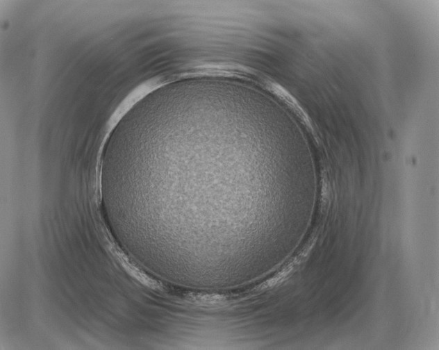 X0000085261370200703231704