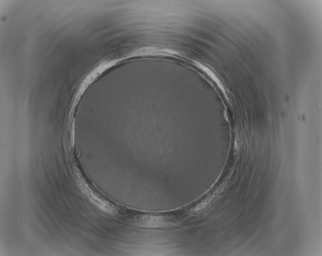 X0000085261371200703231704