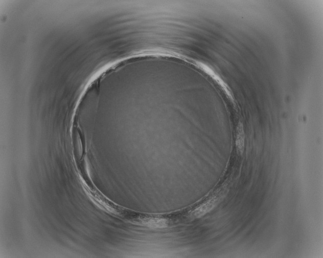 X0000085261372200703231704