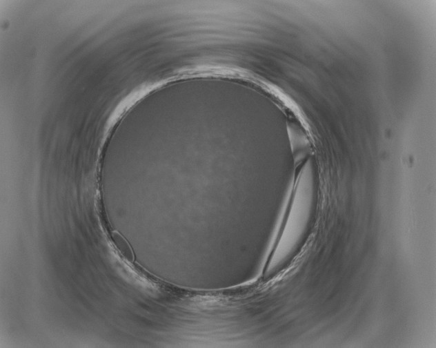 X0000085261373200703231704