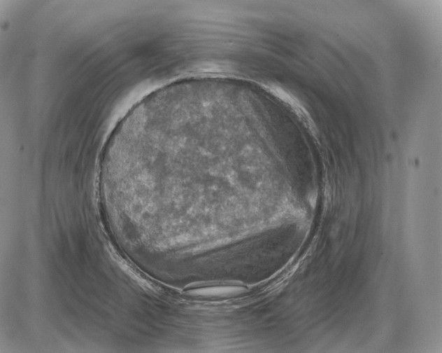 X0000085261374200703231704