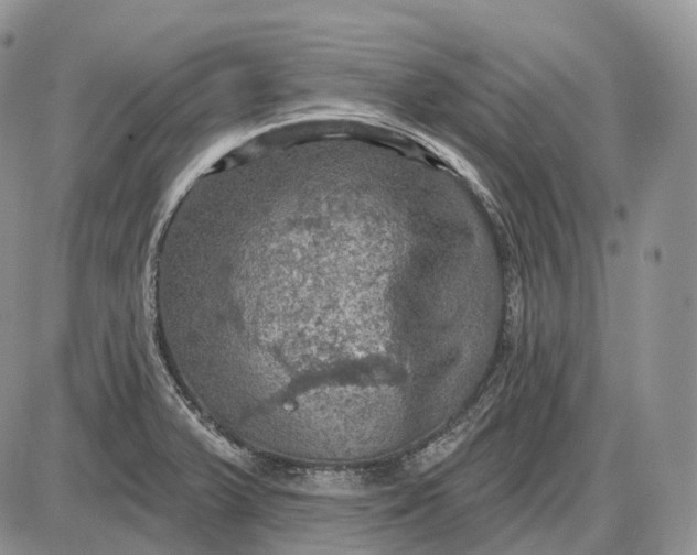 X0000085261375200703231704