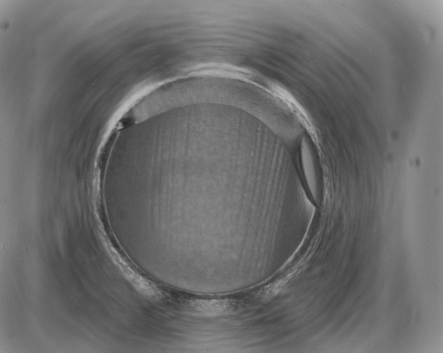 X0000085261376200703231704