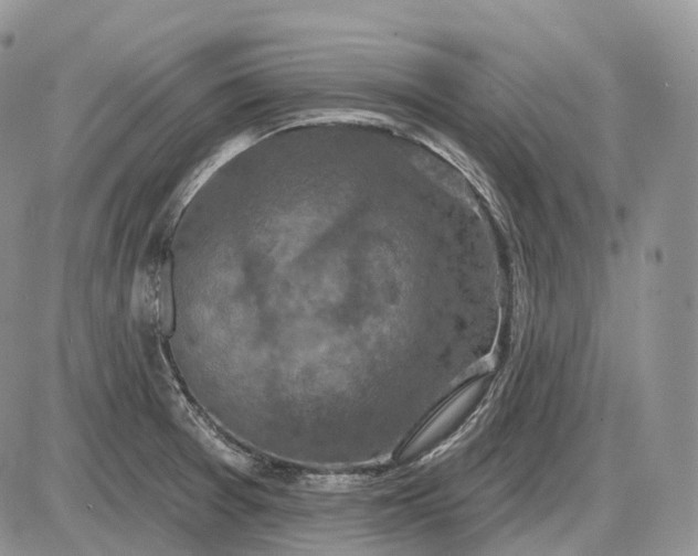 X0000085261377200703231704