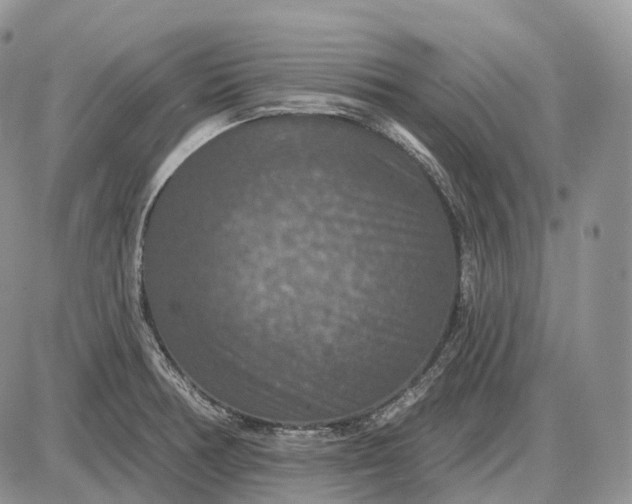 X0000085261378200703231704