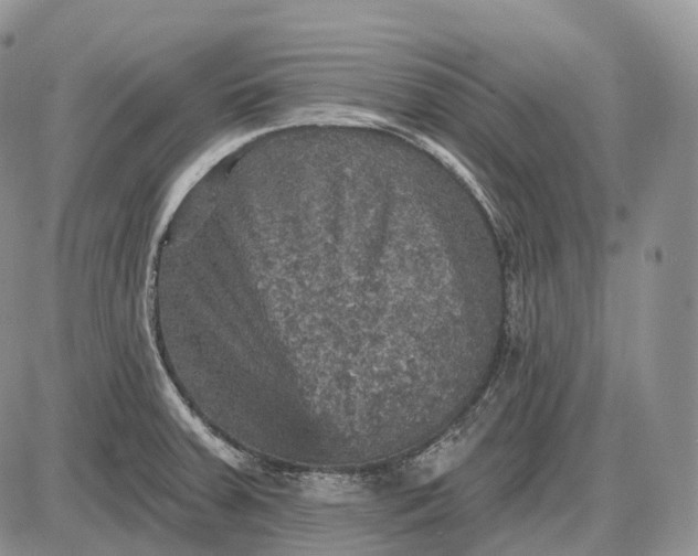 X0000085261379200703231704