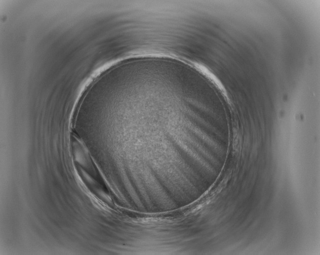 X0000085261380200703231704