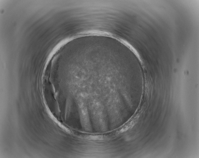 X0000085261381200703231704