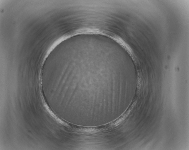 X0000085261382200703231704