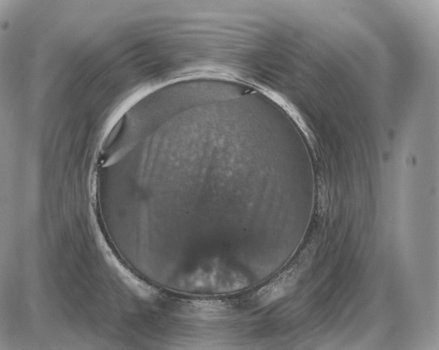 X0000085261383200703231704