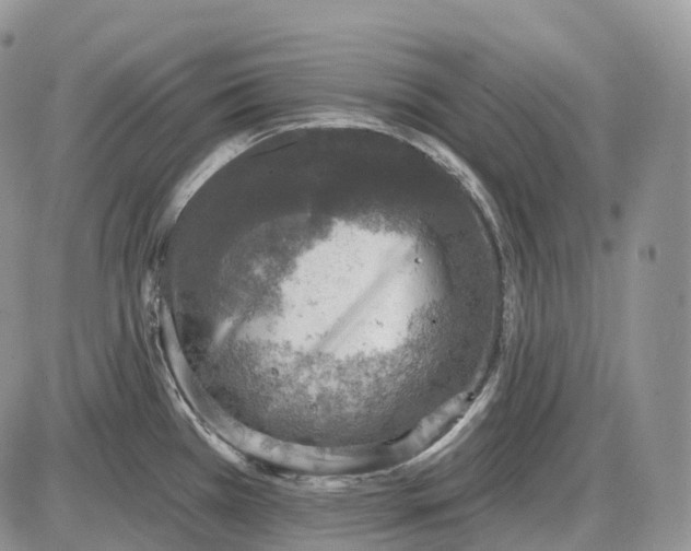 X0000085261385200703231704