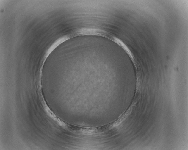 X0000085261386200703231704