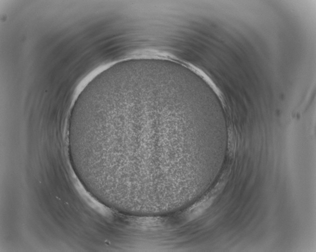 X0000085261387200703231704