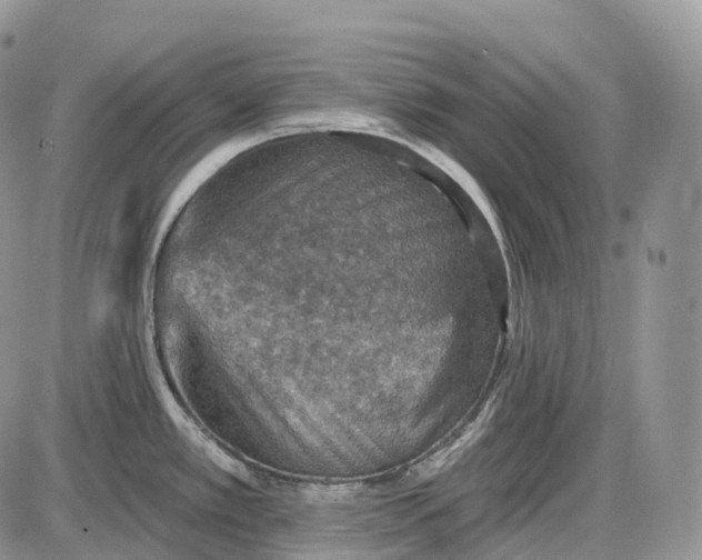 X0000085261389200703231704