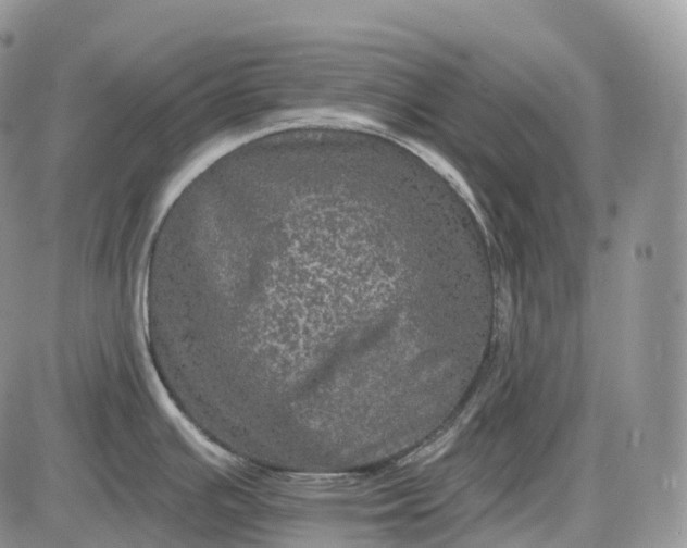 X0000085261391200703231704