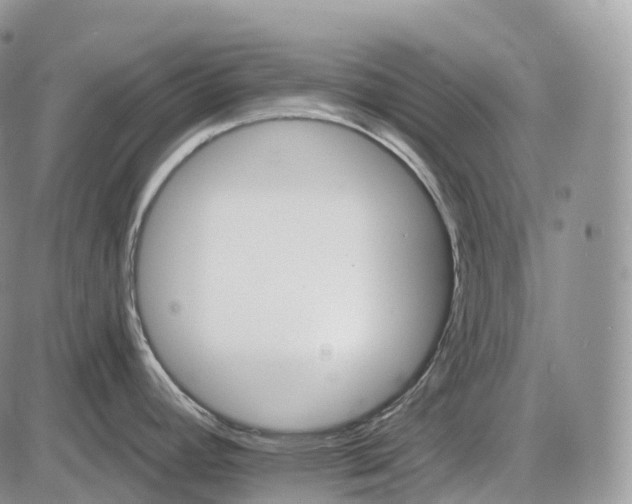 X0000085261392200703231704