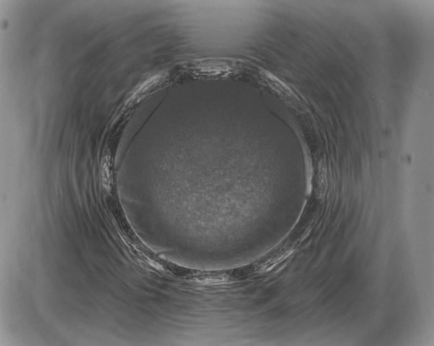 X0000085261394200703231703