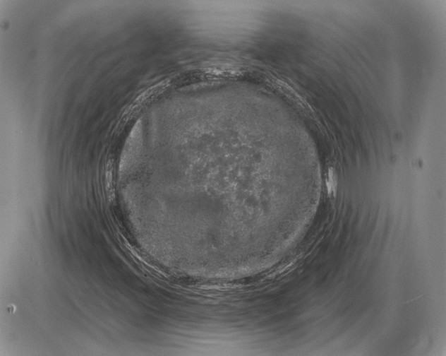 X0000085261396200703231703