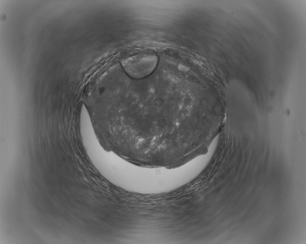 X0000085261397200703231703