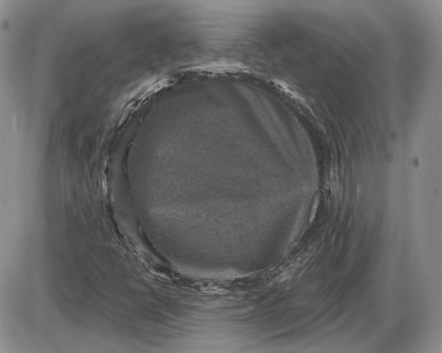 X0000085261398200703231703