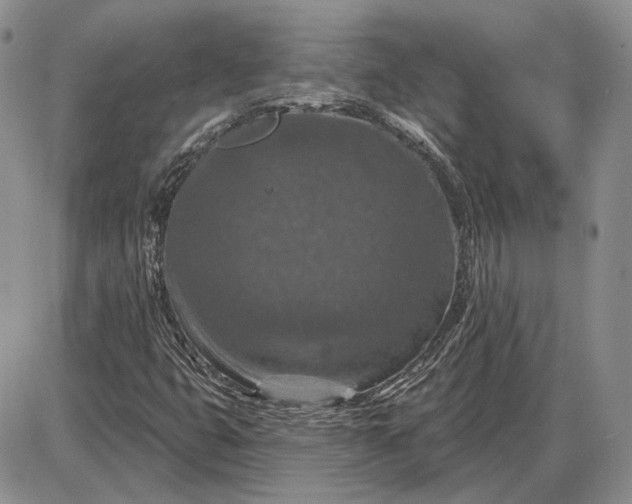 X0000085261399200703231703