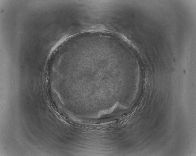 X0000085261400200703231703