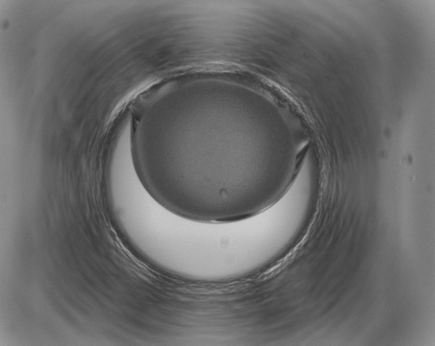 X0000085261402200703231703