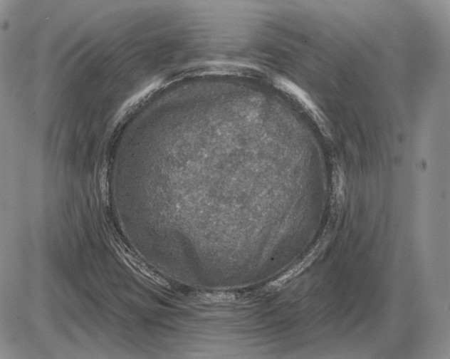 X0000085261403200703231703