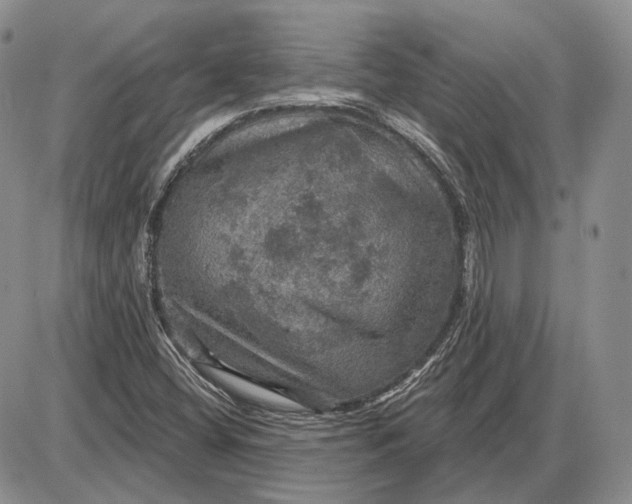 X0000085261404200703231703