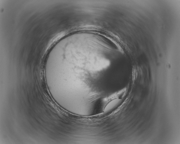 X0000085261405200703231703