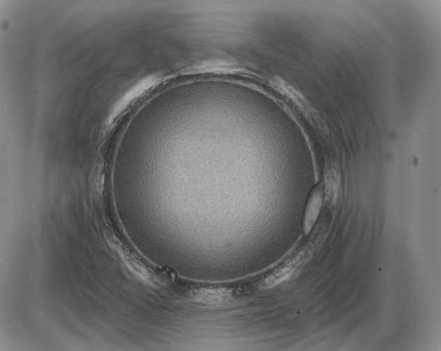 X0000085261406200703231703