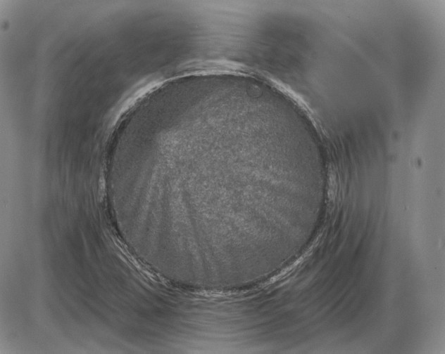 X0000085261407200703231703