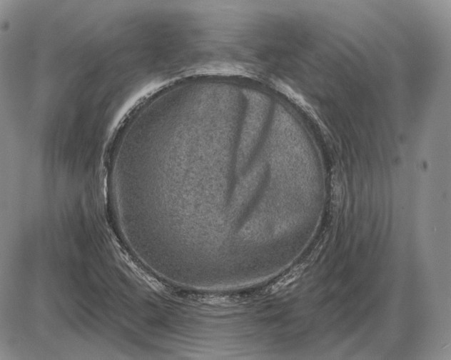 X0000085261408200703231703