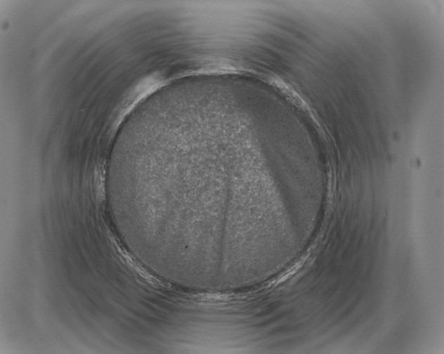 X0000085261409200703231703