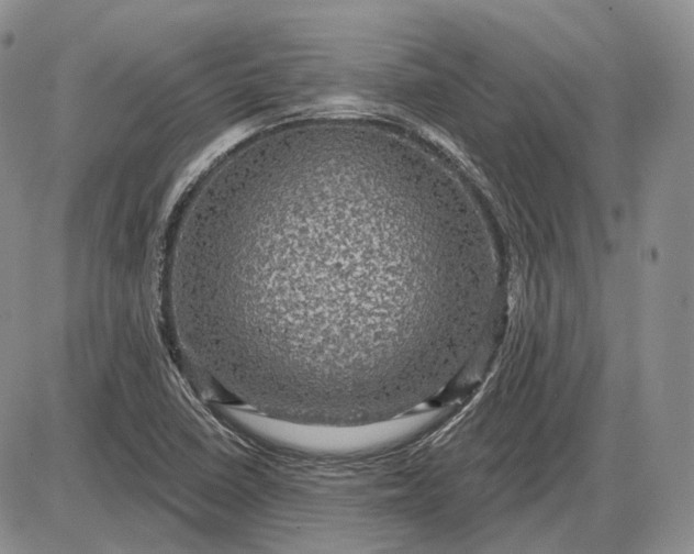 X0000085261410200703231703