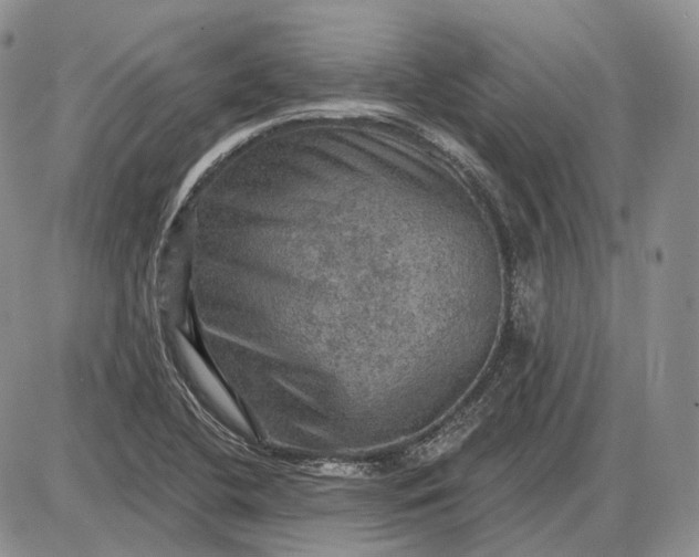 X0000085261412200703231703