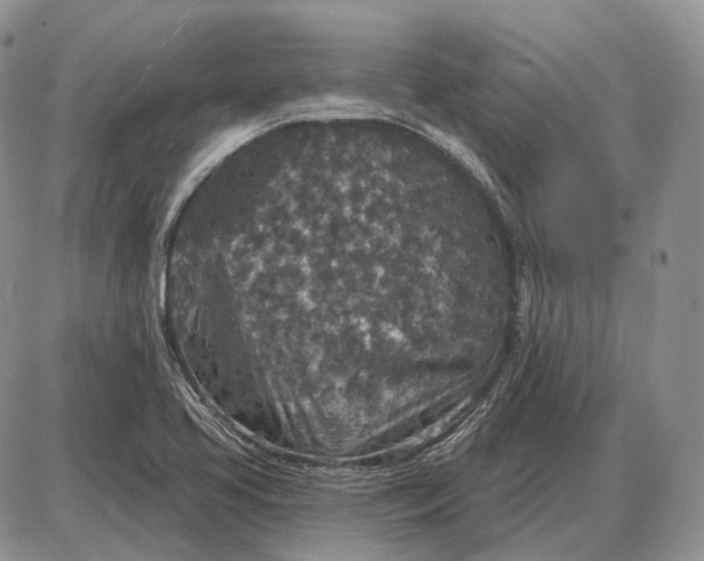 X0000085261413200703231703