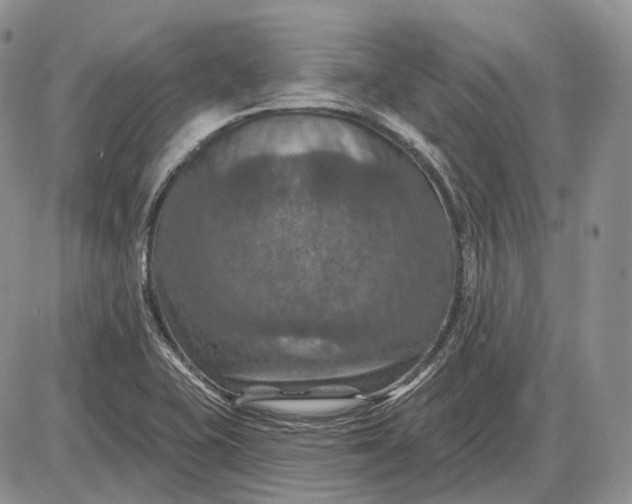 X0000085261415200703231704