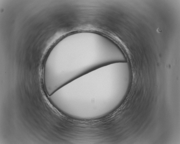 X0000085261416200703231704