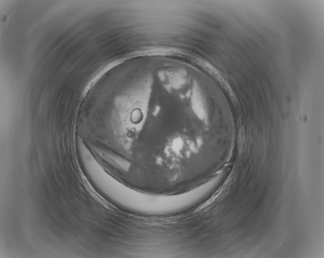 X0000085261417200703231704