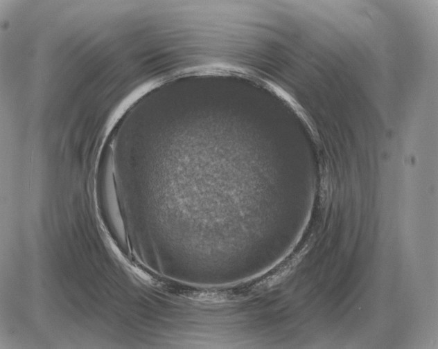 X0000085261418200703231704