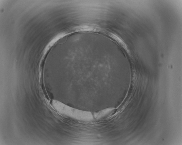 X0000085261419200703231704