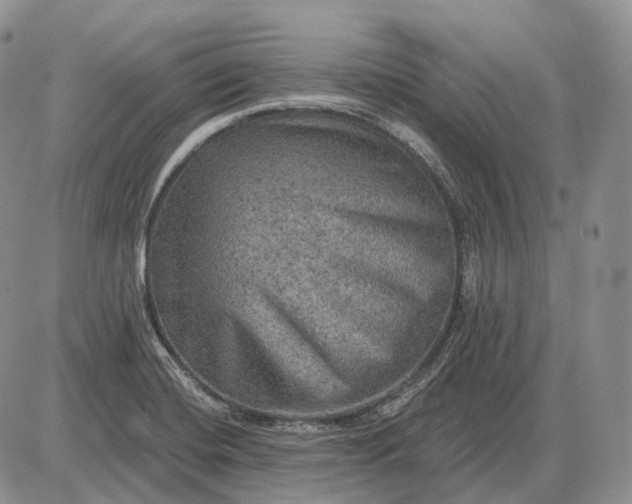 X0000085261420200703231704